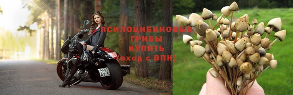 дмт Абдулино
