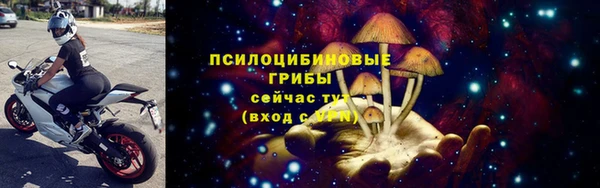 винт Алексеевка