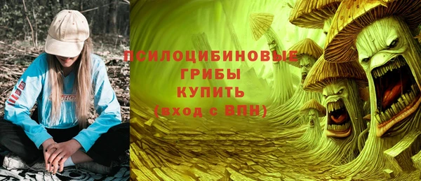 PSILOCYBIN Алзамай