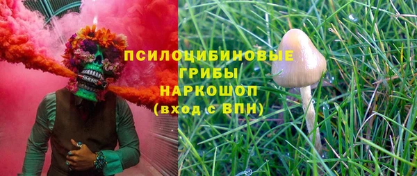дурь Абинск