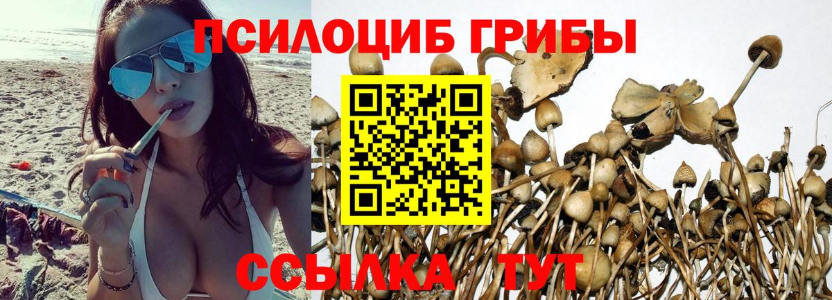 Псилоцибиновые грибы прущие грибы  наркошоп  Вход с VPN  Заволжье  Галлюциногенные грибы Psilocybine cubensis 